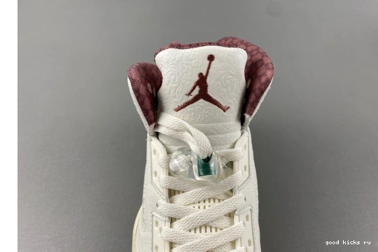 Dark 5 and Sail Jordan Air Pony Grito